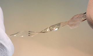 Illustration for article titled A Cybernetic Implant That Allows Paralyzed Rats To Walk Again